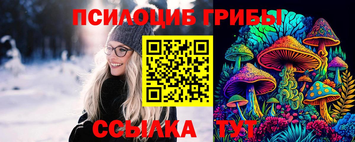 где можно купить   Галлюциногенные грибы мухоморы  Вход с VPN  Калач-на-Дону  Галлюциногенные грибы Psilocybine cubensis 